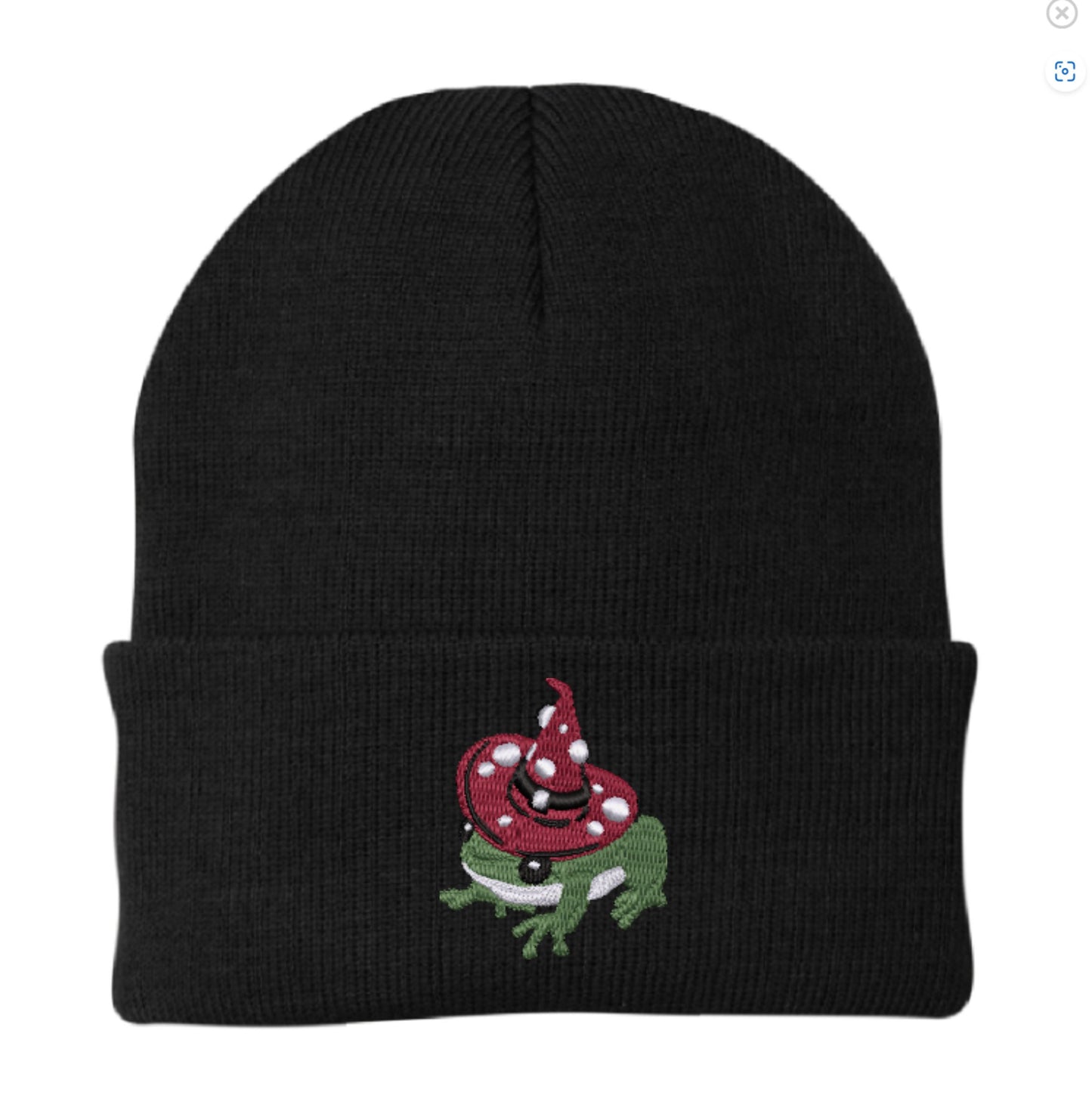 Witchy Toad Embroidered Beanie