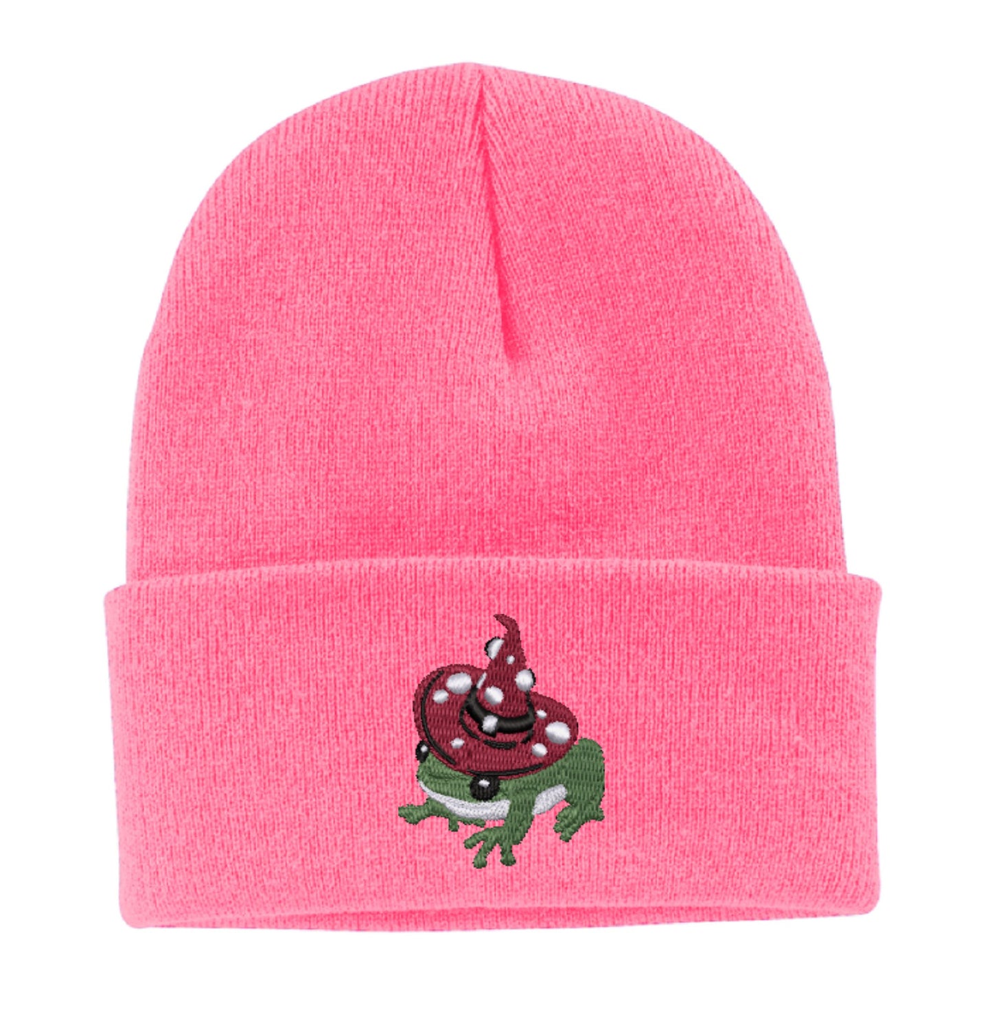 Witchy Toad Embroidered Beanie