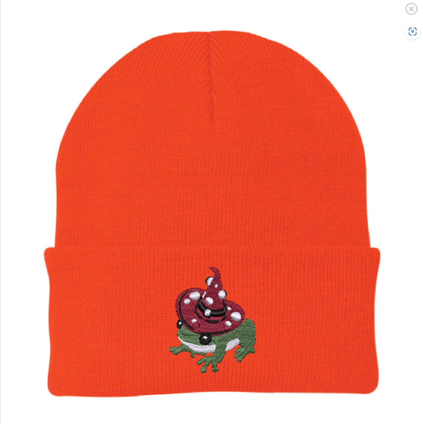 Witchy Toad Embroidered Beanie